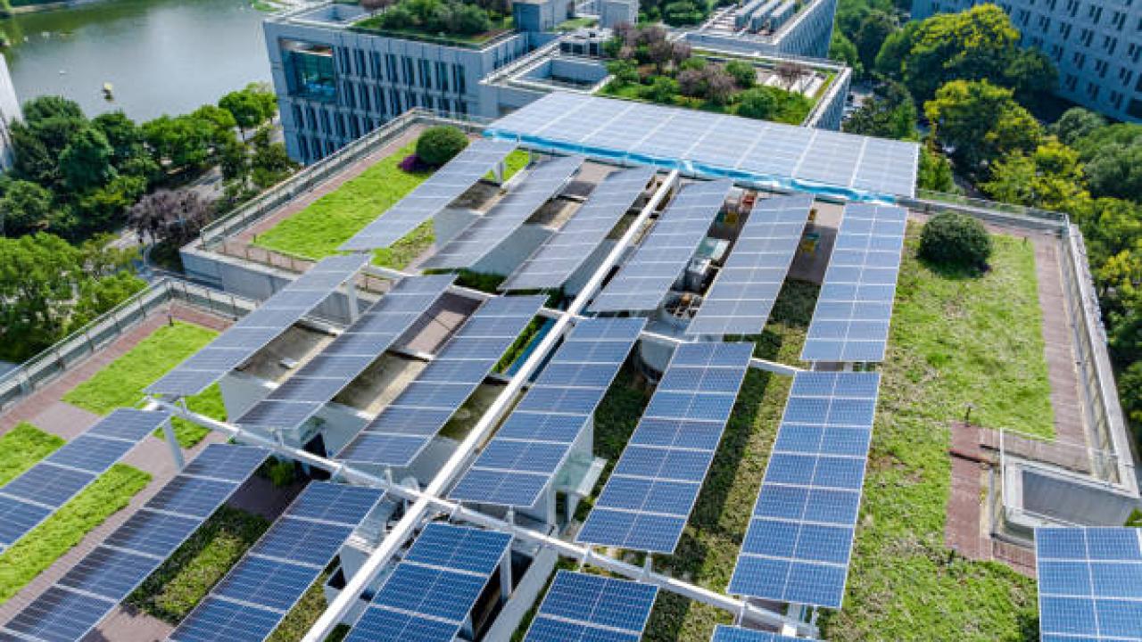 solar panels on a green roof