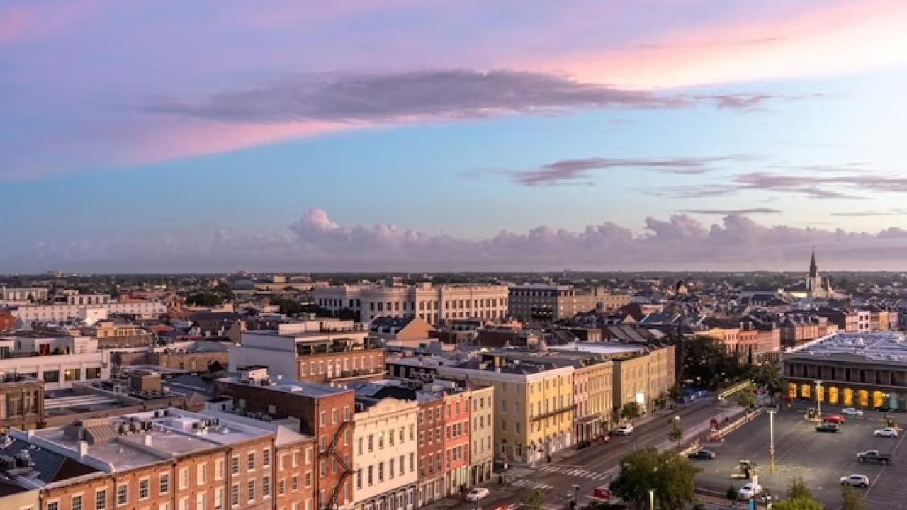 Nola at day 2
