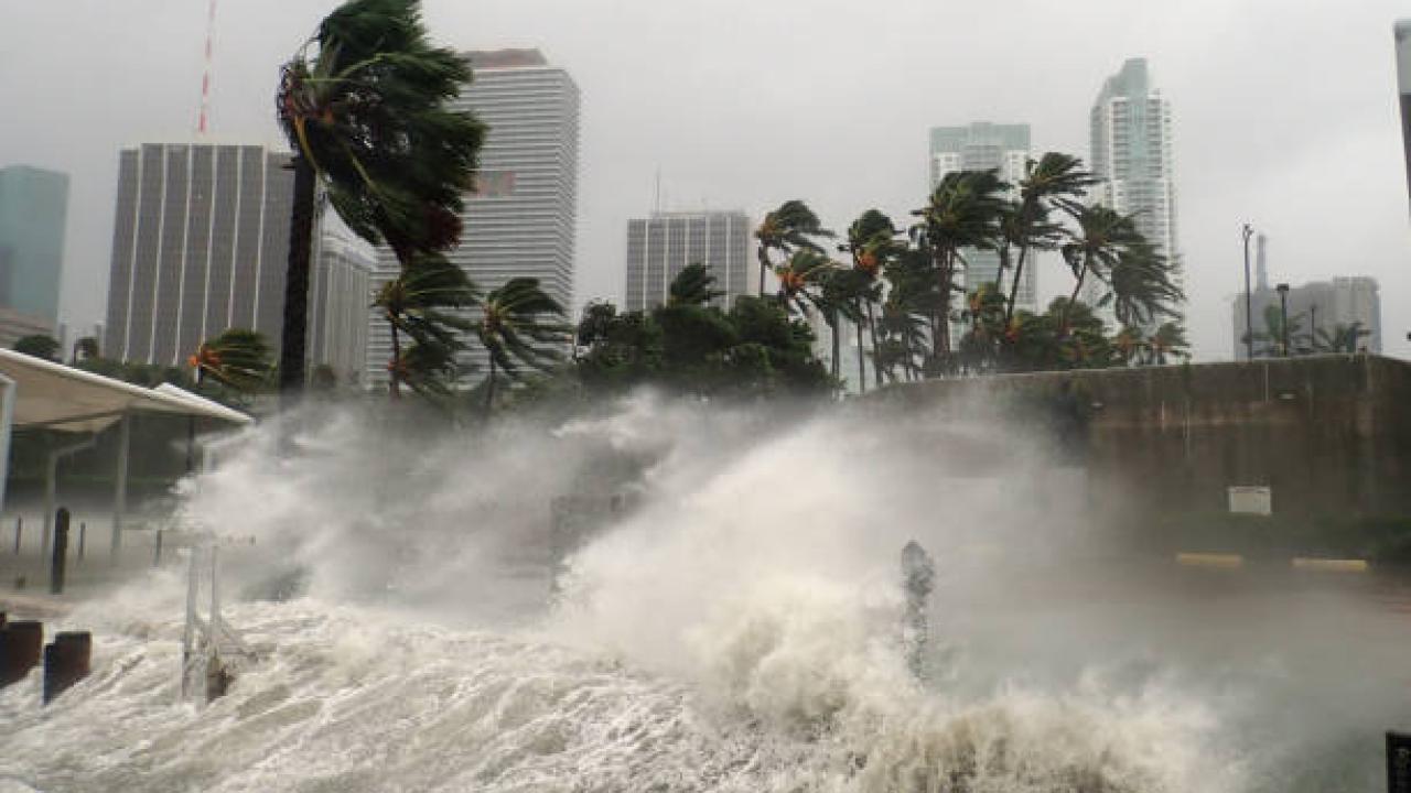 Waves crash against a skyline